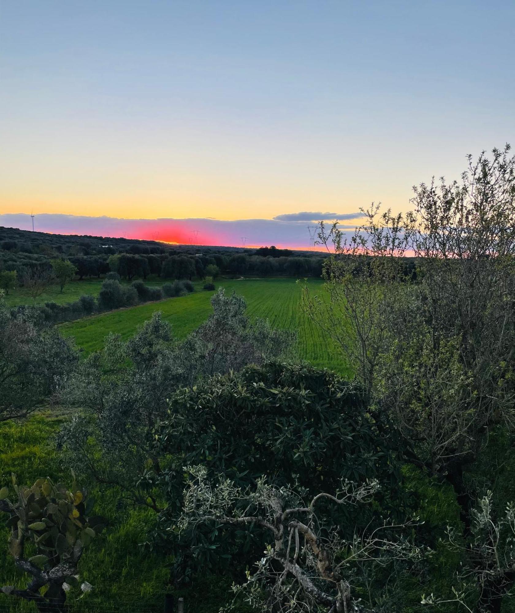 La Nicchia Daire Villa Castelli Dış mekan fotoğraf