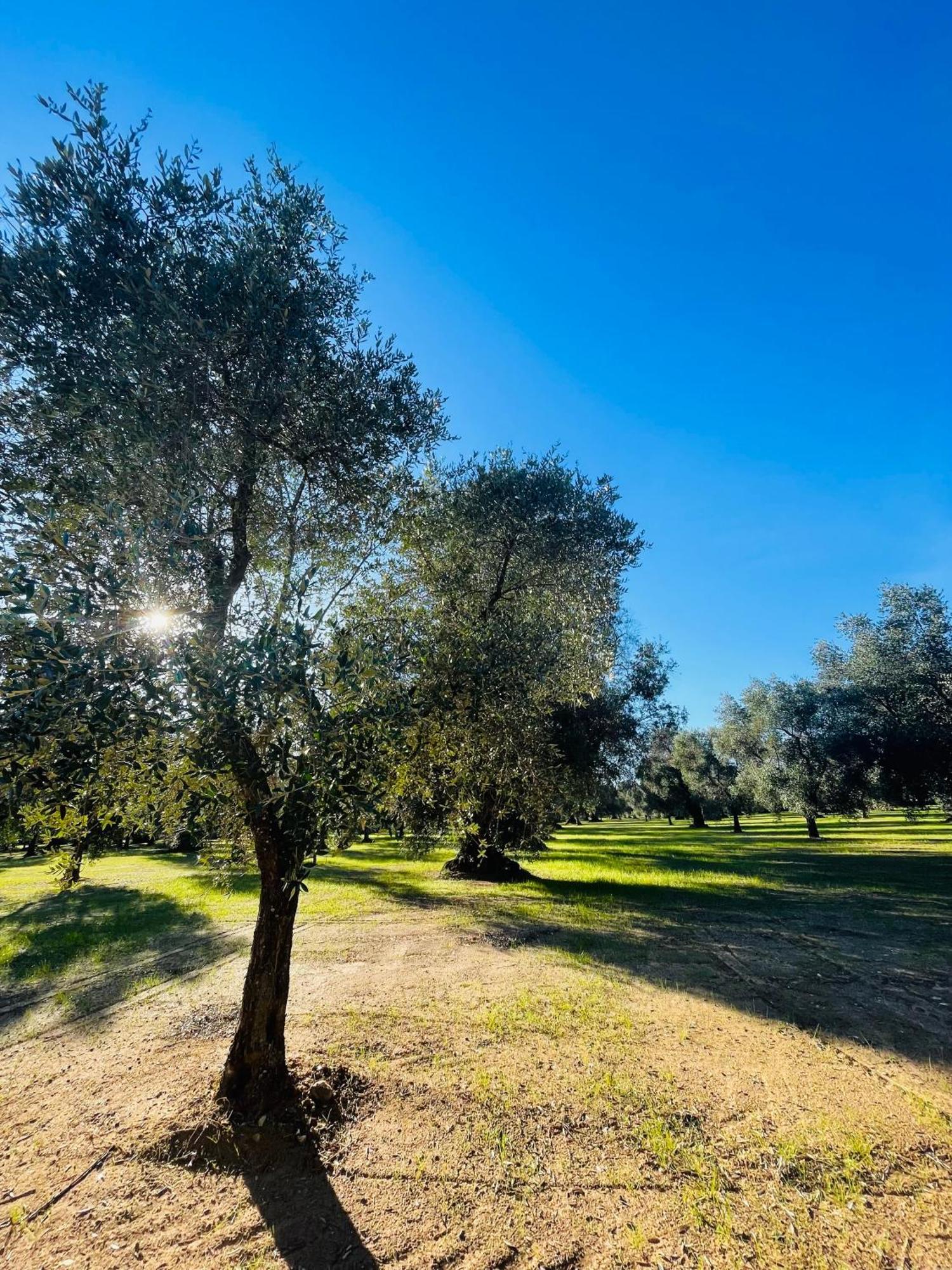 La Nicchia Daire Villa Castelli Dış mekan fotoğraf